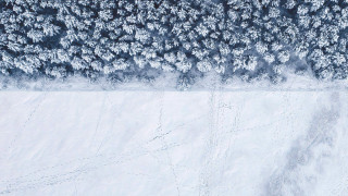 Snow covered field trees sky 2 - the middle of the field free wallpaper