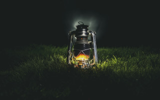 Lantern glowing flame grass forest - radiant free wallpaper