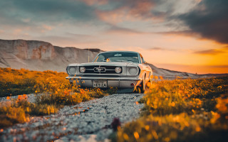 Car flowers sunset mountain fire - an ultrafine free wallpaper for desktop