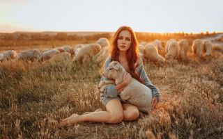 Woman sitting field sunset sheep - anka zhuravleva free wallpaper
