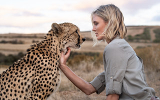 Woman cheetah field outdoors blonde - bettina heinenayech free wallpaper