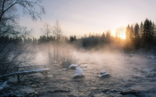 River fog bench forest winter - fog in the air and trees free wallpaper