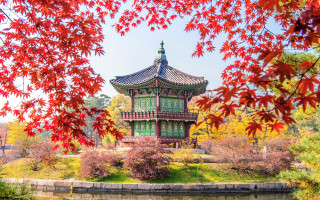 Pagoda autumn leaves bridge park - choi buk free wallpaper