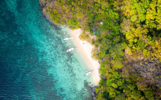 Beach boats trees aerial tilt - the water and trees free wallpaper