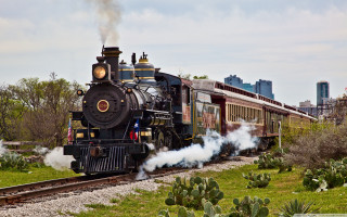 Train cactus garden city skyline - a city skyline in the background free wallpaper