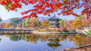 Pavilion lake bridge autumn leaves - a bridge in the background free wallpaper