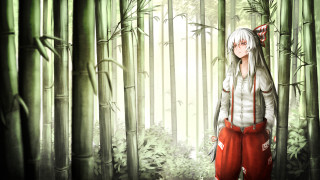 Bamboo forest woman cat white - white hair free wallpaper