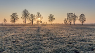 Sunset field trees grass lake - tree and grass free wallpaper