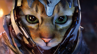 Cat helmet green eyes old - this image free wallpaper