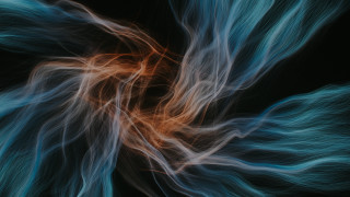 Blue orange flower red center - octane renderer free wallpaper