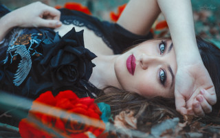 Woman lying blurry roses flower - rose free wallpaper