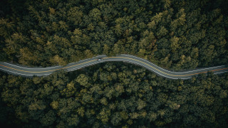 Forest road winding car truck - the road free wallpaper