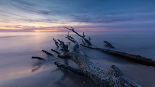 Beach logs sunset cloudy sky - the sand and water free wallpaper