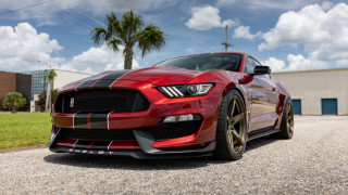 Red mustang gravel road palm - palm tree free wallpaper