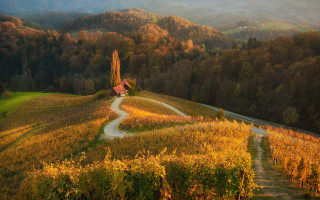 Winding road field house forest - ferenc joachim free wallpaper
