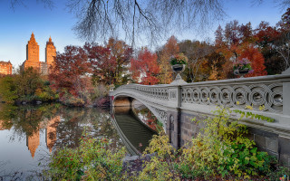 Bridge river city autumn leaves - a bridge over a river free wallpaper