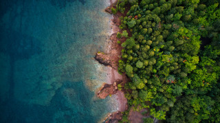 Beach trees water aerial night - tree and water free wallpaper