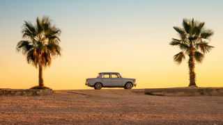 Desert car palm trees sunset - the desert free wallpaper