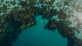 Boat tree shore rock milkyway - daniel lieske free wallpaper