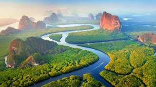 Lush green forest river mountains 2 - the distance free wallpaper