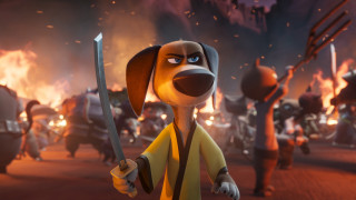 Cartoon dog sword fire costumed - costume free wallpaper