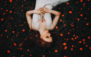 Woman flower field blood dress - a field of flowers free wallpaper