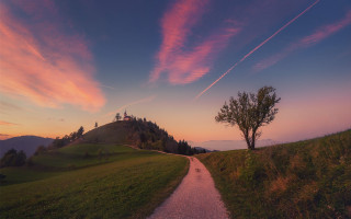 Sunset path hill tree magical - the hill free wallpaper