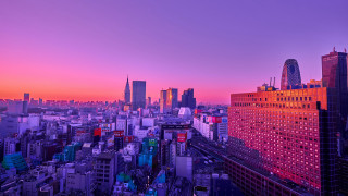 Tokyo skyline pink sunset bridge - tall building free wallpaper