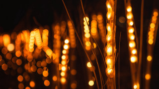 Glowing lights night bokeh fire - a pole free wallpaper