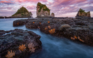 Rocky beach sunset pink sky 6 - a rocky beach free wallpaper