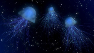 Jellyfish night stars blue space - free new year wallpaper