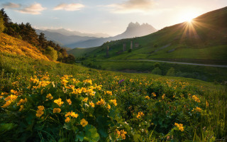 Flower field mountains sunbeam autumn - edi rama free wallpaper