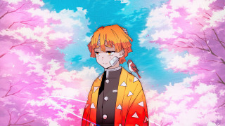 Orange bird man anime flowers - his shoulder free wallpaper