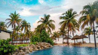 Ocean pool palm trees beach - chair and umbrellas free wallpaper