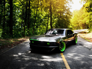 Car parked road trees forest - matte finish free wallpaper
