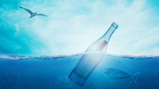 Ocean bottle fish bird aurora - cyril rolando free wallpaper