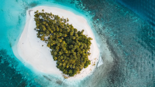 Island tree ocean boat aurora - an island free wallpaper