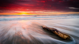 Log beach sunset ocean clouds 2 - derold page free wallpaper