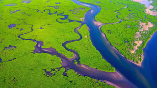 River green field forest aerial - aerial free wallpaper