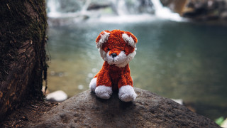 Stuffed animal waterfall river furry - caspar wolf free wallpaper