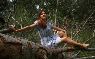 Woman sitting tree forest bamboo - a tree branch in a forest free wallpaper
