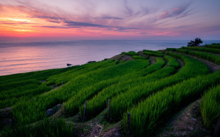 Sunset grassy hill lake forest - a grassy hill free wallpaper