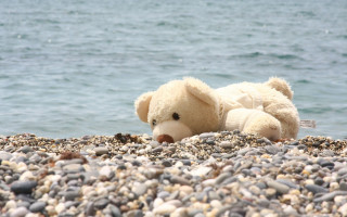Teddy bear rocky beach ocean - a tag free wallpaper