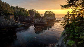 Sunset water trees cliff birds - a few bird free wallpaper