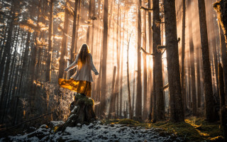 Woman forest sunbeams magic realism - radiant free wallpaper