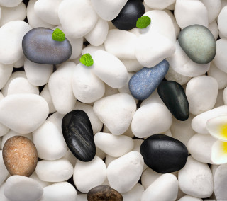 Rocks flowers pattern white surface - david budd free wallpaper