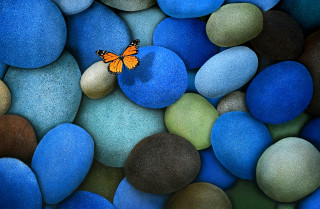 Butterfly rock blue green pebbles 5 - a white border free wallpaper