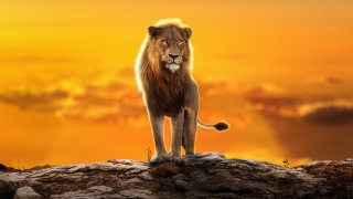 Lion rock sunset clouds orange - a yellow sky free wallpaper
