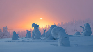 Sunset snowy landscape trees snowmen - tree and snow covered ground free wallpaper