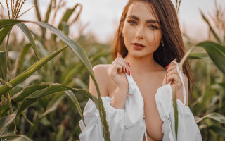 Elina karimova woman field corn - her breast free wallpaper